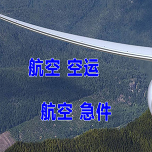湛江航空快递快递-选东方航空和上海航空