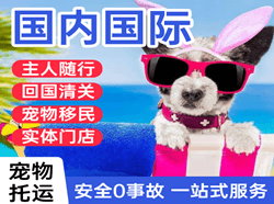 湛江航空快递国际宠物托运 【国